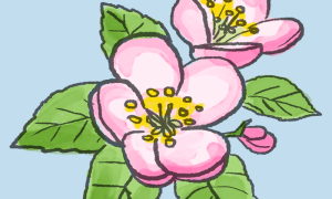 Nursery